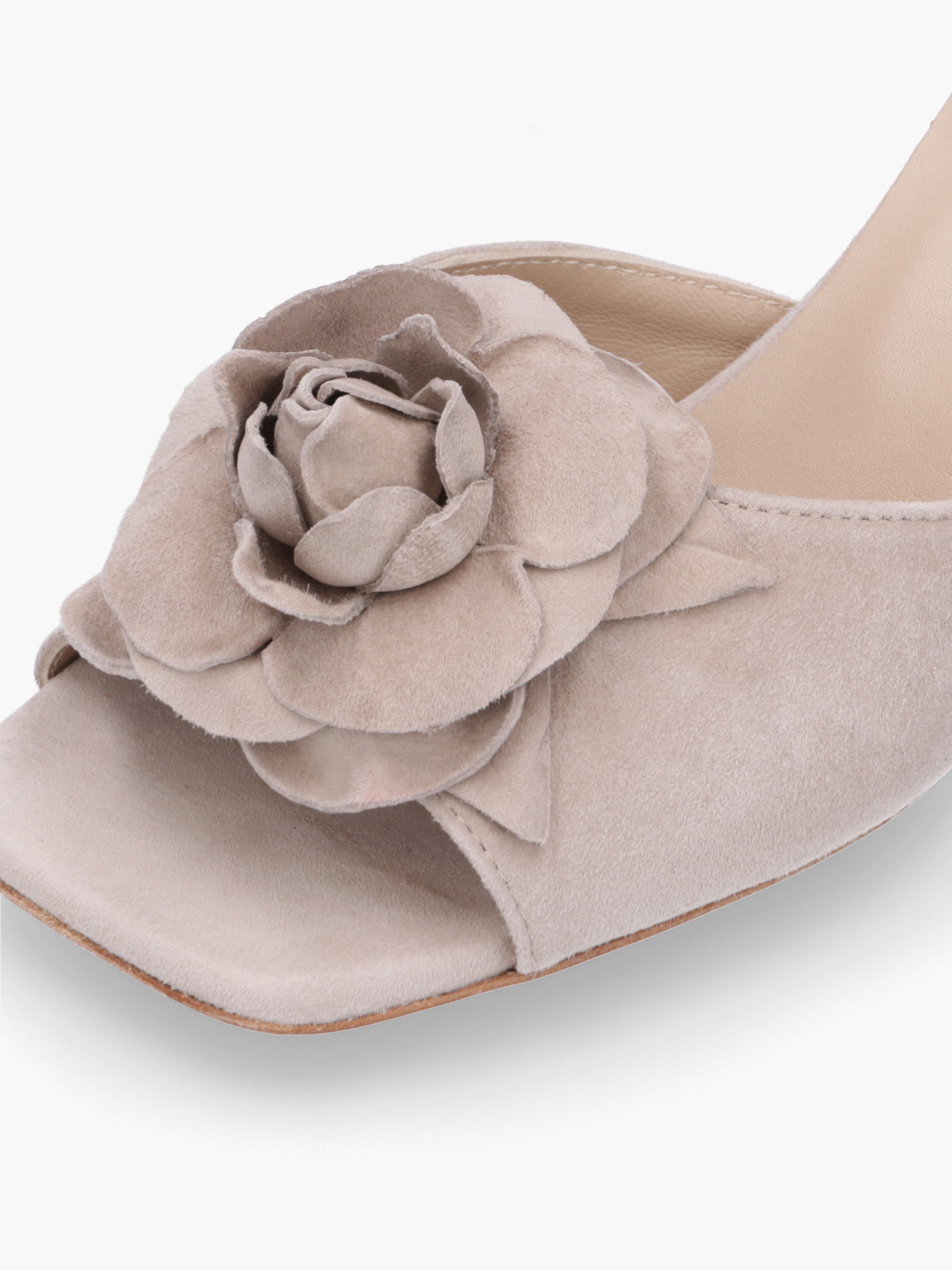 GANKO-Veloursleder-Beige-TM0661M-0010-0216-Thea-Mika_5_BM GANKO Veloursleder Beige, Bekleidung, Schuhwerk, Schuh, Pflanze, Rose