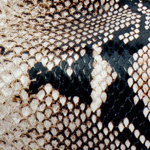 Snake Natur
